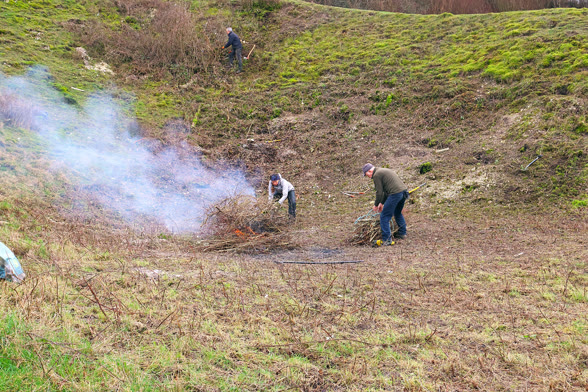 Volunteers at a work party